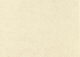 Forum 2421