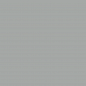 RAL 9006